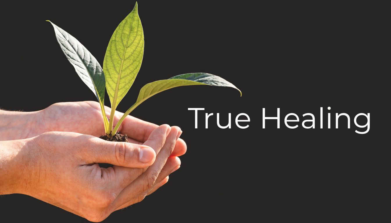 A close-up of a person holding a small green plant in their hands, representing healing.