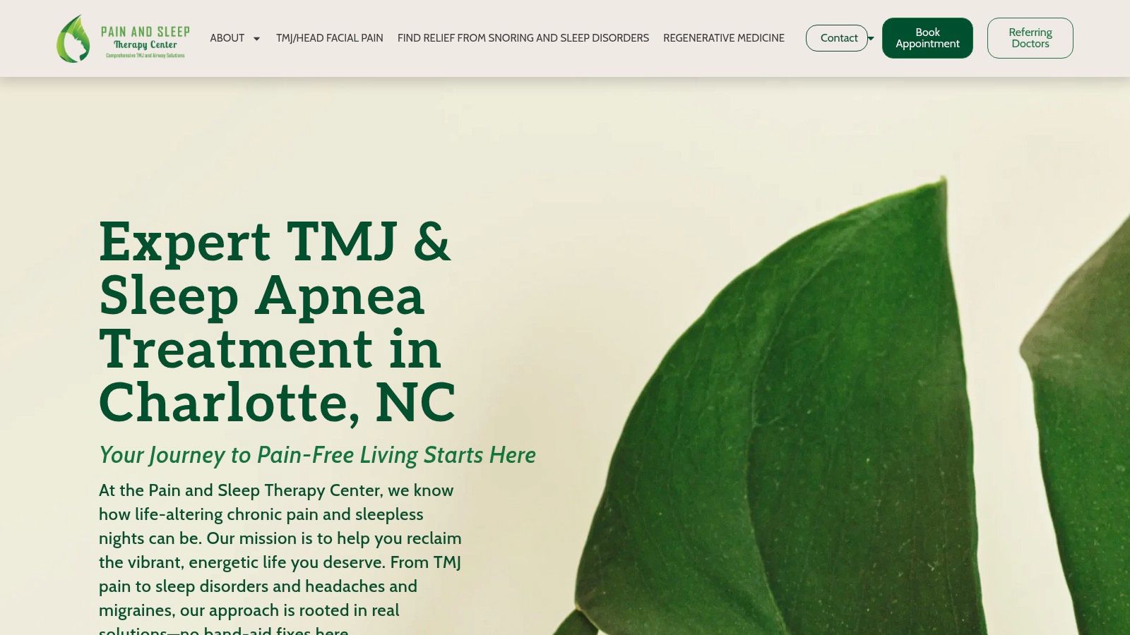 Screenshot from tmjsleep.com