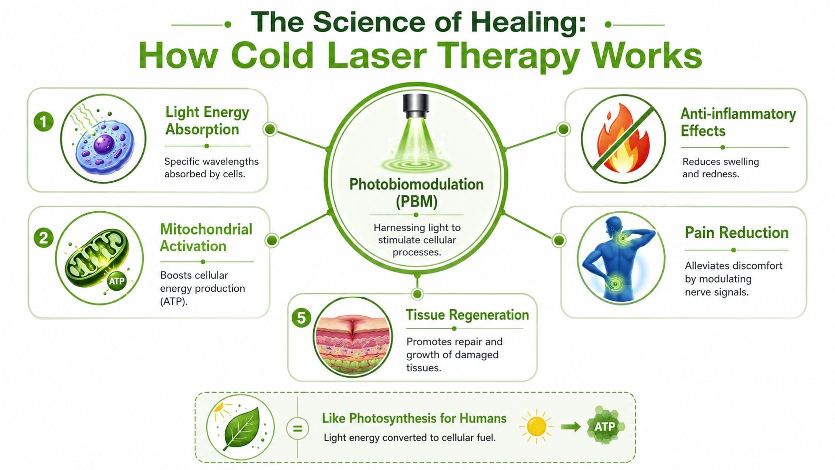 An infographic titled The Science of Healing explaining the biological benefits of cold laser therapy using photobiomodulation.
