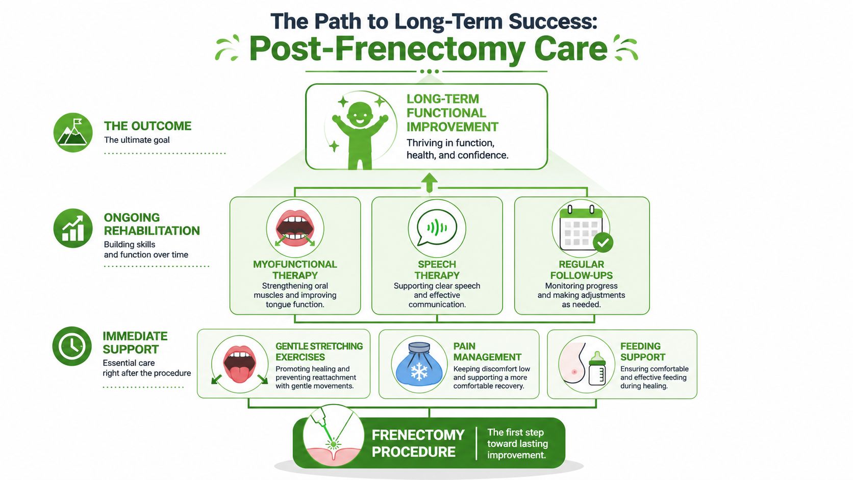 An infographic detailing the stages of post-frenectomy care, from the procedure to long-term functional improvement.