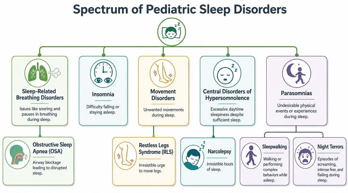 A diagram illustrating the spectrum of various pediatric sleep disorders, categorized by type and specific conditions.