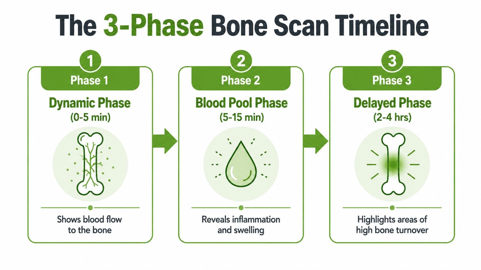 A diagram illustrating the three phases of a bone scan, including the timing and purpose of each stage.