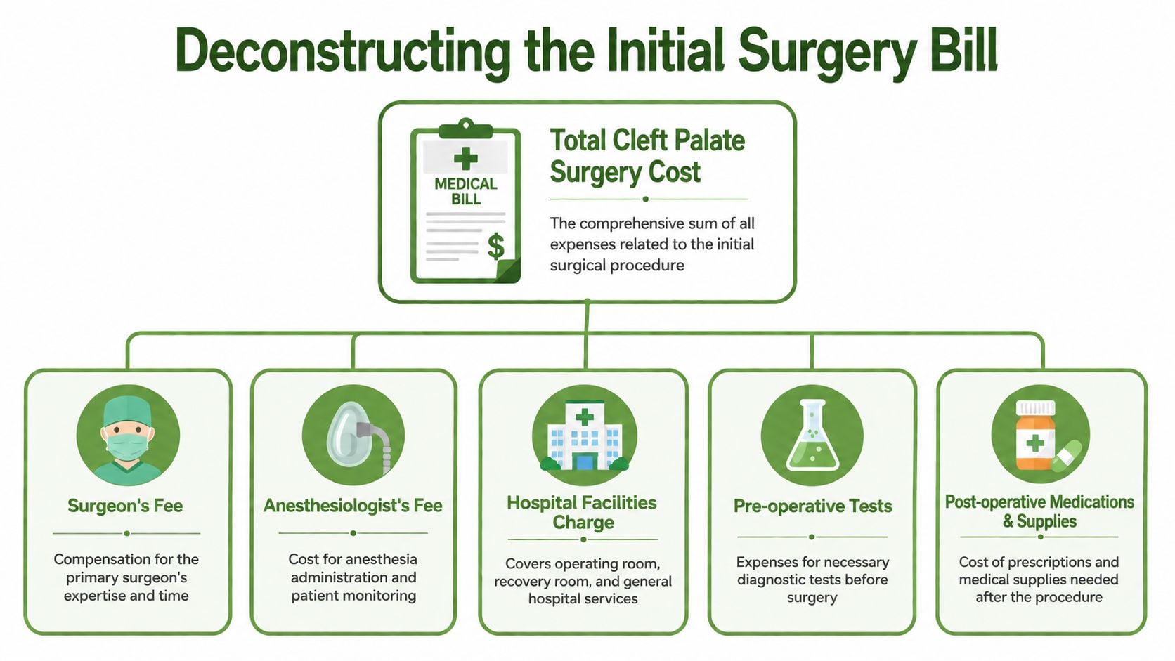 A diagram breaking down the various medical costs associated with an initial cleft palate surgical procedure.