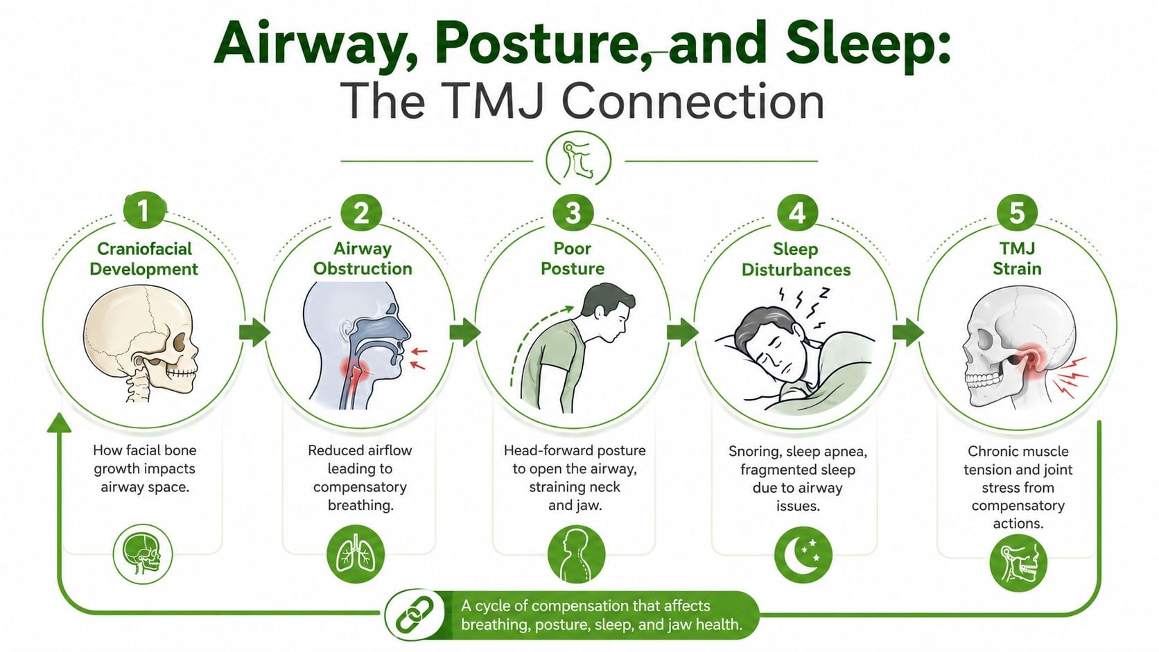 A diagram illustrating the connection between craniofacial development, airway obstruction, posture, sleep, and TMJ strain.