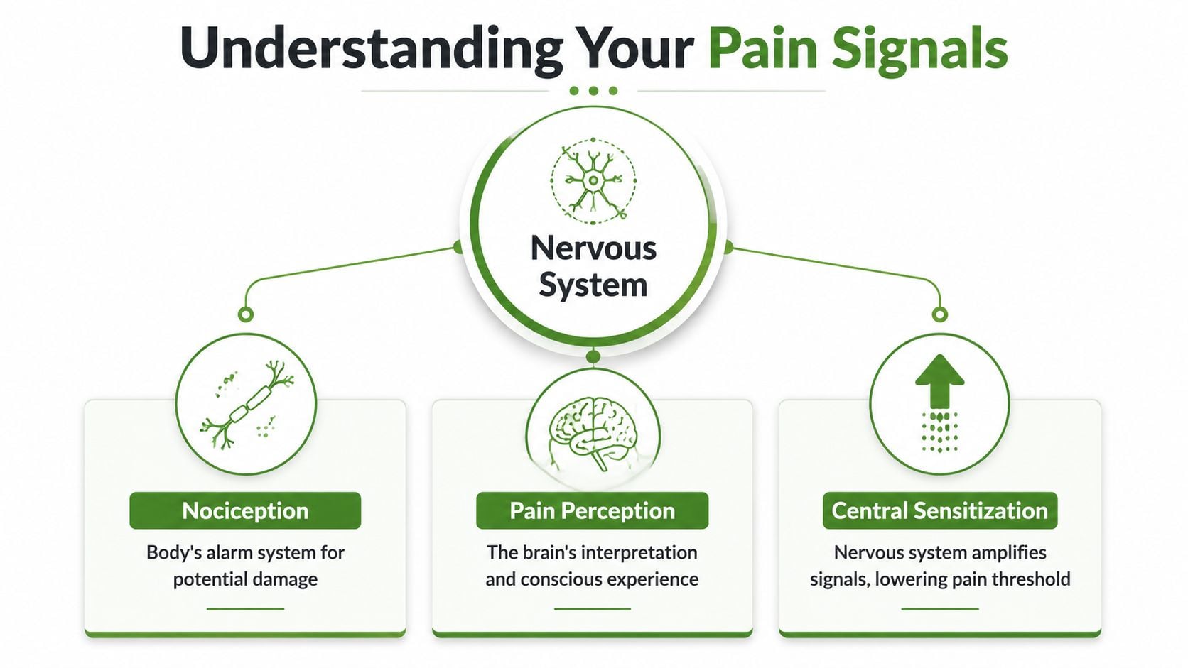 A diagram illustrating pain neuroscience, featuring the nervous system, nociception, pain perception, and central sensitization concepts.