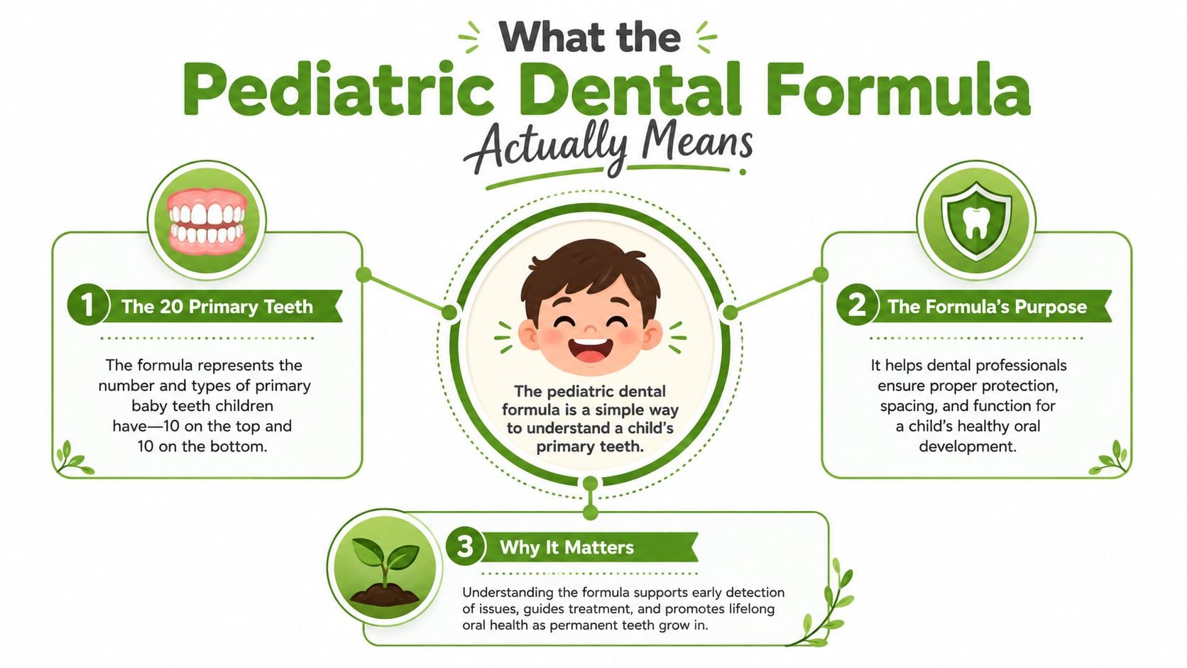 An infographic explaining the pediatric dental formula, including details on primary teeth, their purpose, and why it matters.